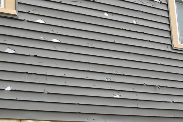 Best Aluminum Siding Installation  in Fultonde, AL